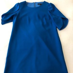 Cynthia Steffe Dress - Sunday Tulip Sleeve Shift